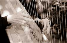 Closeup photo of harp and players hands